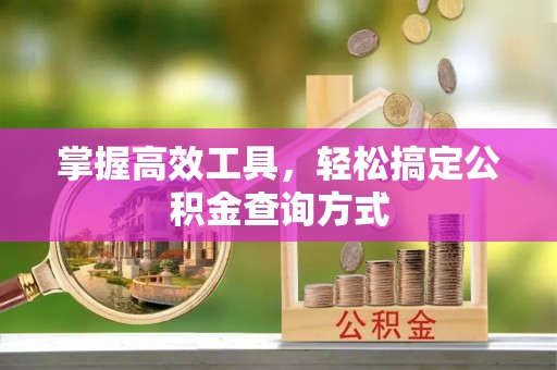 赣榆掌握高效工具，轻松搞定公积金查询方式