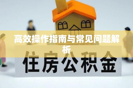 赣榆高效操作指南与常见问题解析
