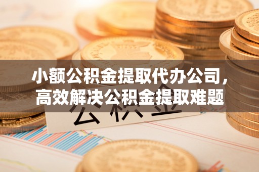 赣榆小额公积金提取代办公司，高效解决公积金提取难题