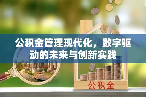 赣榆公积金管理现代化，数字驱动的未来与创新实践
