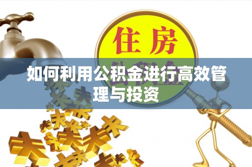 赣榆如何利用公积金进行高效管理与投资