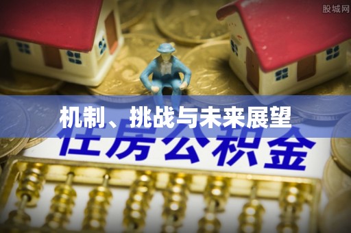 赣榆机制、挑战与未来展望