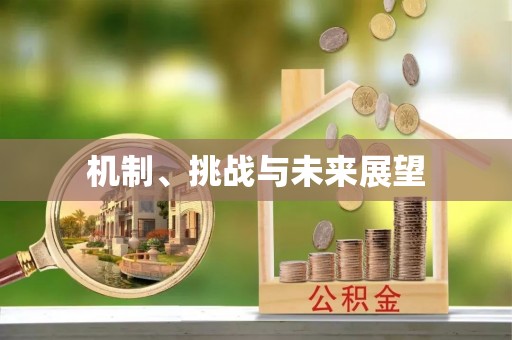 赣榆机制、挑战与未来展望